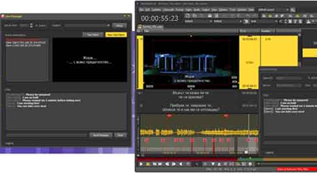 Tamil subtitling formats