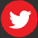 Tamil voice over twitter